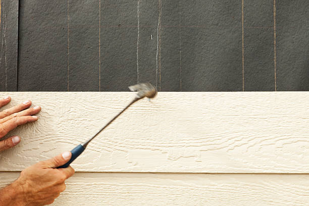 Best Stone Veneer Siding  in Craig, AK